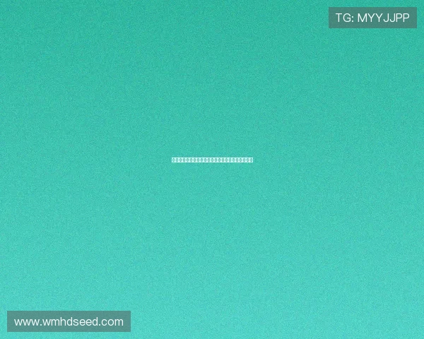 法甲技术总监:推动法国足球发展与创新的幕后推手 法甲技术总监:推动法国足球发展与创新的幕后推手