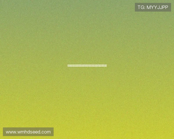 桑乔外租依旧让曼联每年损失数百万英镑俱乐部财务压力加剧